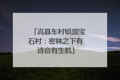 嵩县车村镇顶宝石村：密林之下有诗意有生机