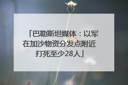 巴勒斯坦媒体：以军在加沙物资分发点附近打死至少28人