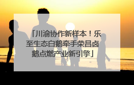 川渝协作新样本！乐至生态白鹅牵手荣昌卤鹅点燃产业新引擎