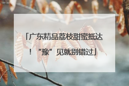 广东精品荔枝甜蜜抵达！“豫”见就别错过