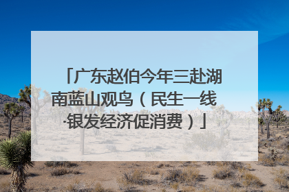 广东赵伯今年三赴湖南蓝山观鸟（民生一线·银发经济促消费）