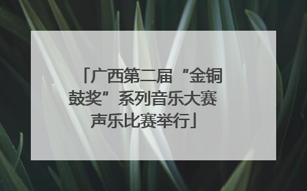 广西第二届“金铜鼓奖”系列音乐大赛声乐比赛举行