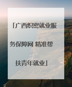 广西织密就业服务保障网 精准帮扶青年就业