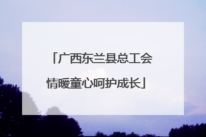 广西东兰县总工会情暖童心呵护成长
