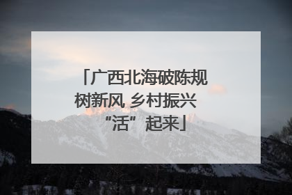 广西北海破陈规树新风 乡村振兴“活”起来