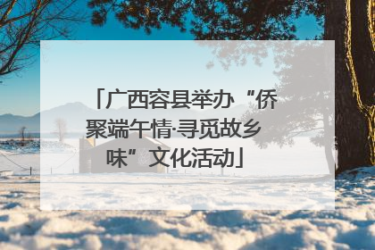 广西容县举办“侨聚端午情·寻觅故乡味”文化活动