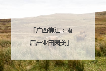 广西柳江：雨后产业田园美