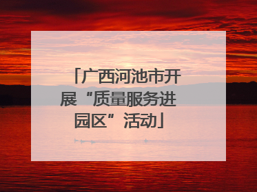 广西河池市开展“质量服务进园区”活动