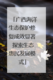 广西海洋生态保护修复成效显著 探索生态惠民发展模式