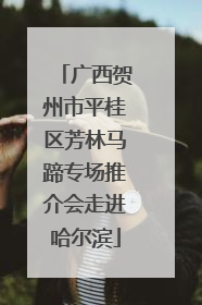 广西贺州市平桂区芳林马蹄专场推介会走进哈尔滨