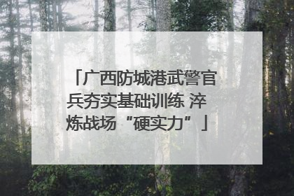 广西防城港武警官兵夯实基础训练 淬炼战场“硬实力”