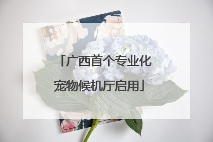 广西首个专业化宠物候机厅启用