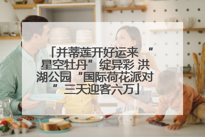 并蒂莲开好运来 “星空牡丹”绽异彩 洪湖公园“国际荷花派对”三天迎客六万