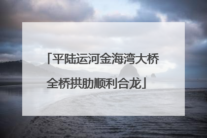 平陆运河金海湾大桥全桥拱肋顺利合龙