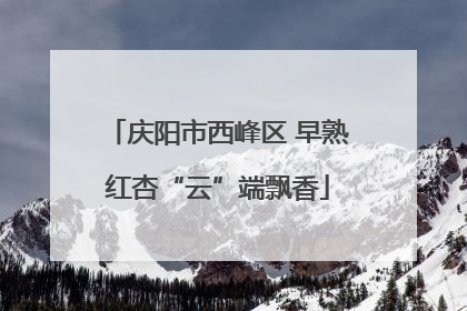 庆阳市西峰区 早熟红杏“云”端飘香