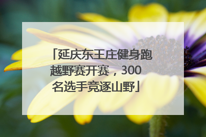 延庆东王庄健身跑越野赛开赛，300名选手竞逐山野