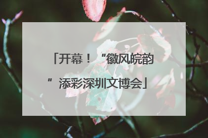 开幕！“徽风皖韵”添彩深圳文博会