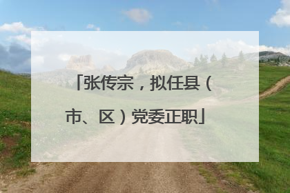 张传宗，拟任县（市、区）党委正职