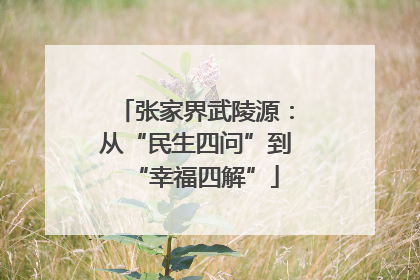 张家界武陵源：从“民生四问”到“幸福四解”