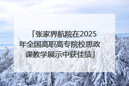 张家界航院在2025年全国高职高专院校思政课教学展示中获佳绩