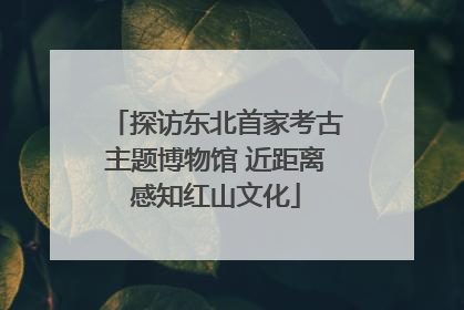 探访东北首家考古主题博物馆 近距离感知红山文化