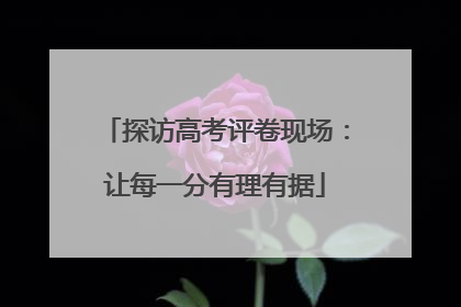 探访高考评卷现场：让每一分有理有据