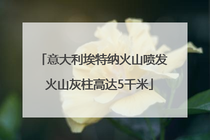 意大利埃特纳火山喷发 火山灰柱高达5千米