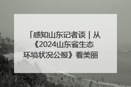 感知山东记者谈｜从《2024山东省生态环境状况公报》看美丽山东建设的“成绩单”与“任务书”