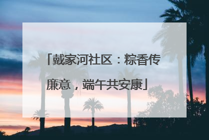 戴家河社区：粽香传廉意，端午共安康