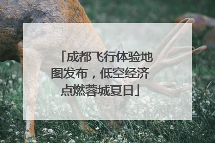 成都飞行体验地图发布，低空经济点燃蓉城夏日