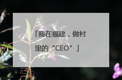 我在福建，做村里的“CEO”