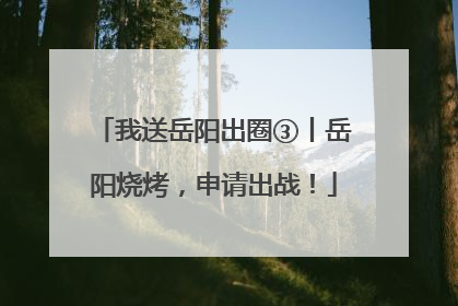 我送岳阳出圈③丨岳阳烧烤，申请出战！