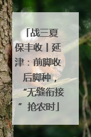 战三夏 保丰收丨延津：前脚收 后脚种，“无缝衔接”抢农时