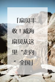 扇贝丰收！威海扇贝从这里“走向”全国