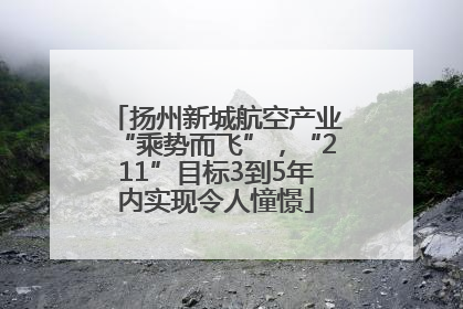 扬州新城航空产业“乘势而飞”，“211”目标3到5年内实现令人憧憬