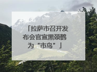 拉萨市召开发布会官宣黑颈鹤为“市鸟”