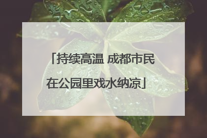 持续高温 成都市民在公园里戏水纳凉