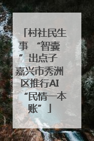 村社民生事 “智囊”出点子 嘉兴市秀洲区推行AI“民情一本账”