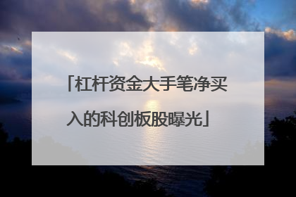 杠杆资金大手笔净买入的科创板股曝光