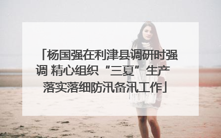 杨国强在利津县调研时强调 精心组织“三夏”生产 落实落细防汛备汛工作