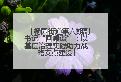 杨园街道第六期副书记“圆桌谈”：以基层治理实践助力战略支点建设