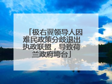 极右翼领导人因难民政策分歧退出执政联盟，导致荷兰政府垮台