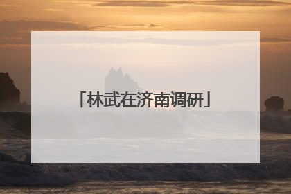 林武在济南调研