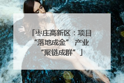 枣庄高新区：项目“落地成金” 产业“聚链成群”