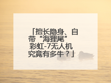 擅长隐身、自带“海狸尾” 彩虹-7无人机究竟有多牛？