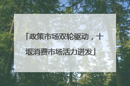 政策市场双轮驱动，十堰消费市场活力迸发