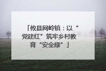 攸县网岭镇：以“党建红”筑牢乡村教育“安全绿”