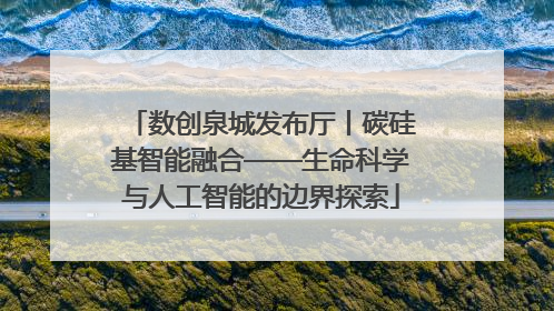 数创泉城发布厅丨碳硅基智能融合——生命科学与人工智能的边界探索