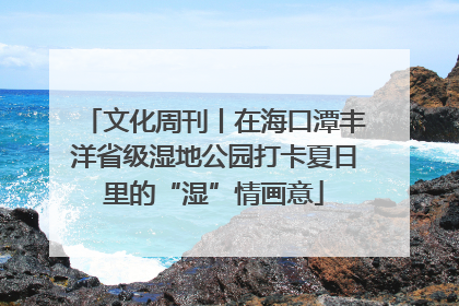 文化周刊丨在海口潭丰洋省级湿地公园打卡夏日里的“湿”情画意