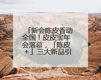 新会陈皮香动全国！皮皮宝年会落幕，「陈皮＋」三大新品引领产业升级